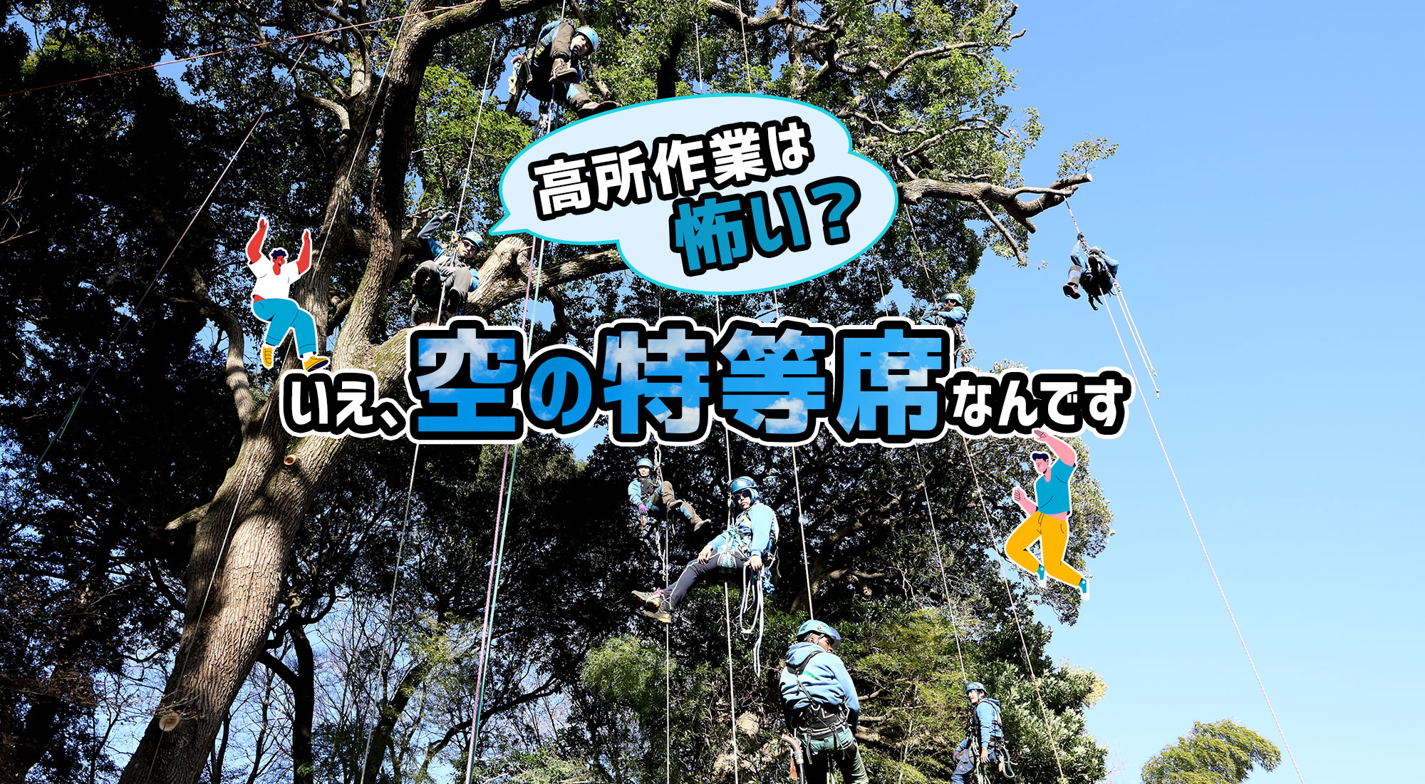 高所作業は怖い？いえ、“空の特等席”なんです。 